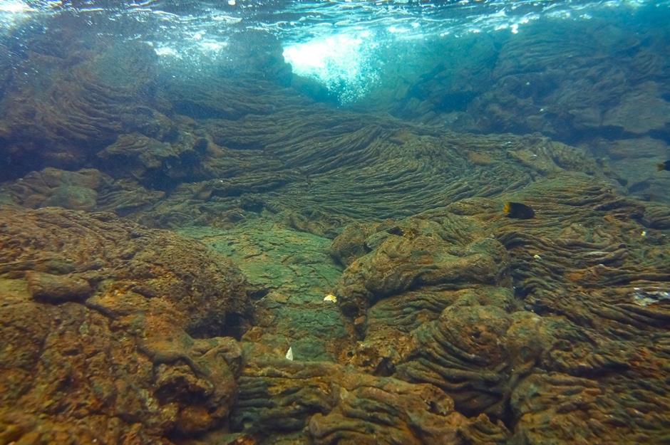 The ocean is a mighty beast