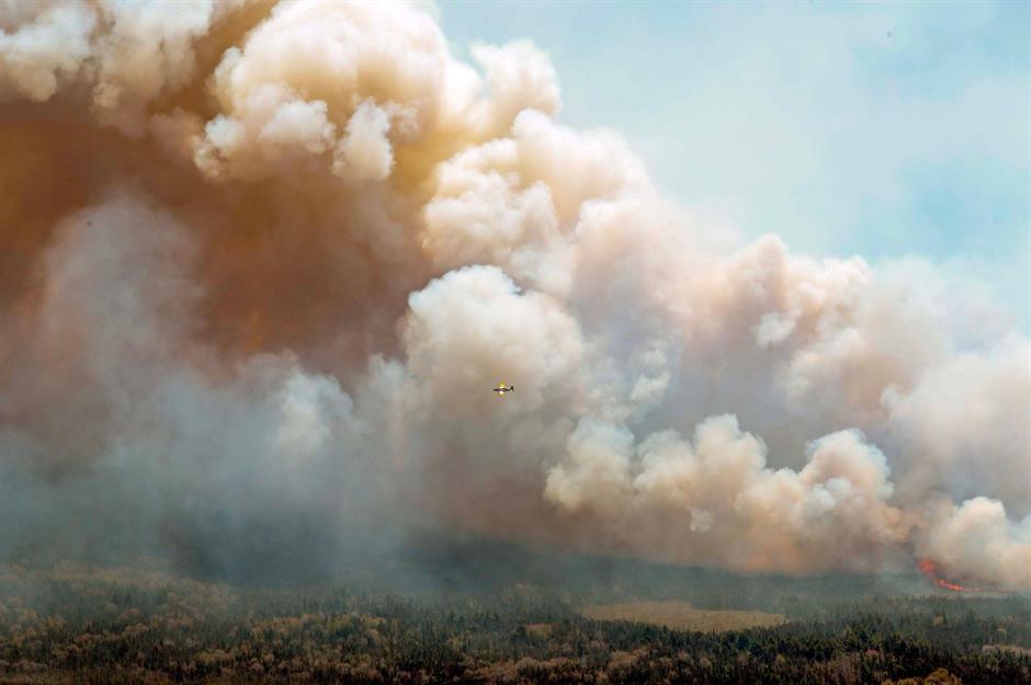 2023: Wildfires, various