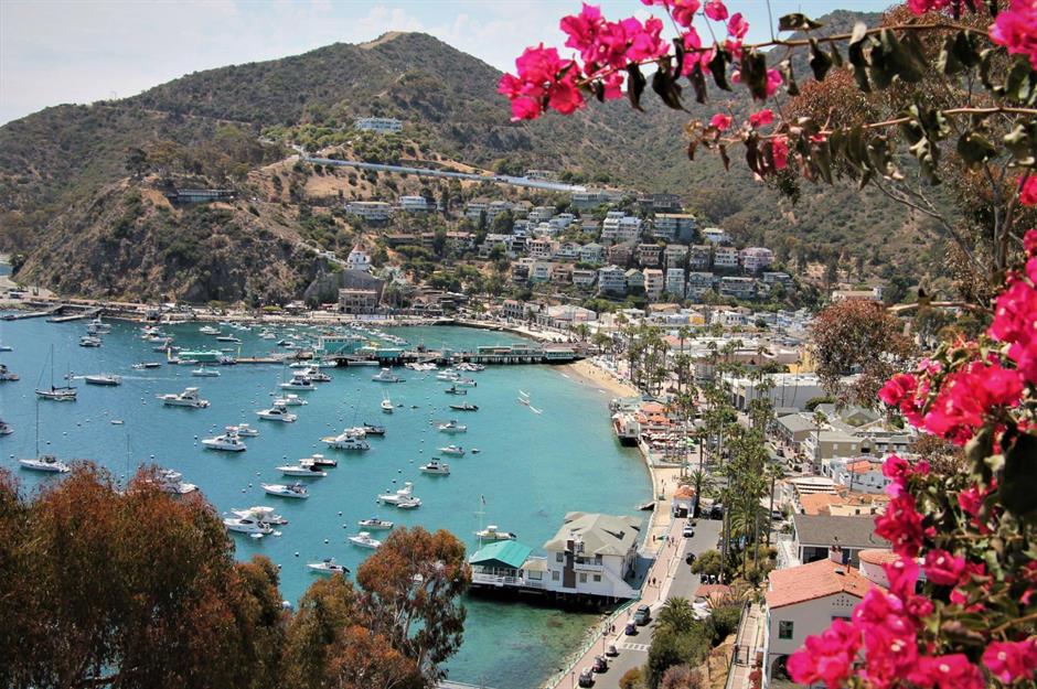 Catalina Island, California: Feels like a Greek island escape