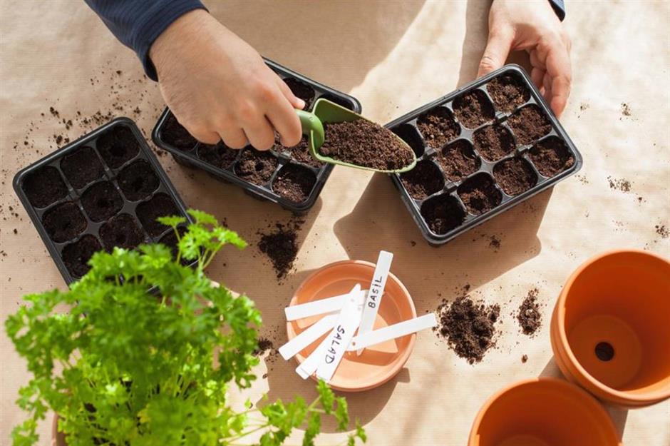 Your essential checklist for a winter-ready backyard