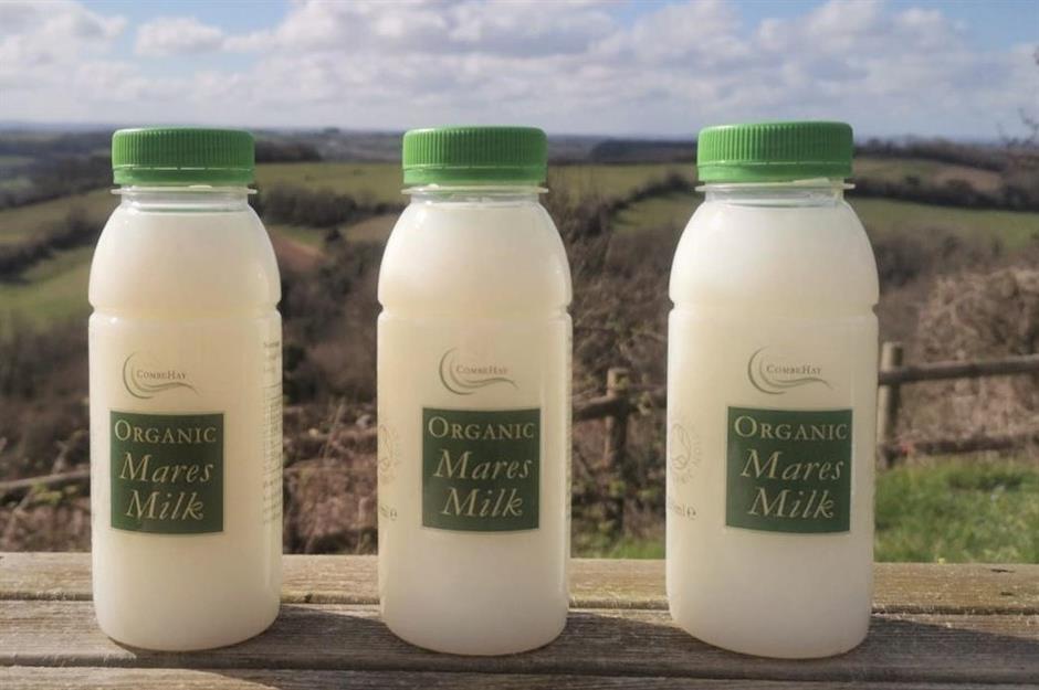 Stutenmilch