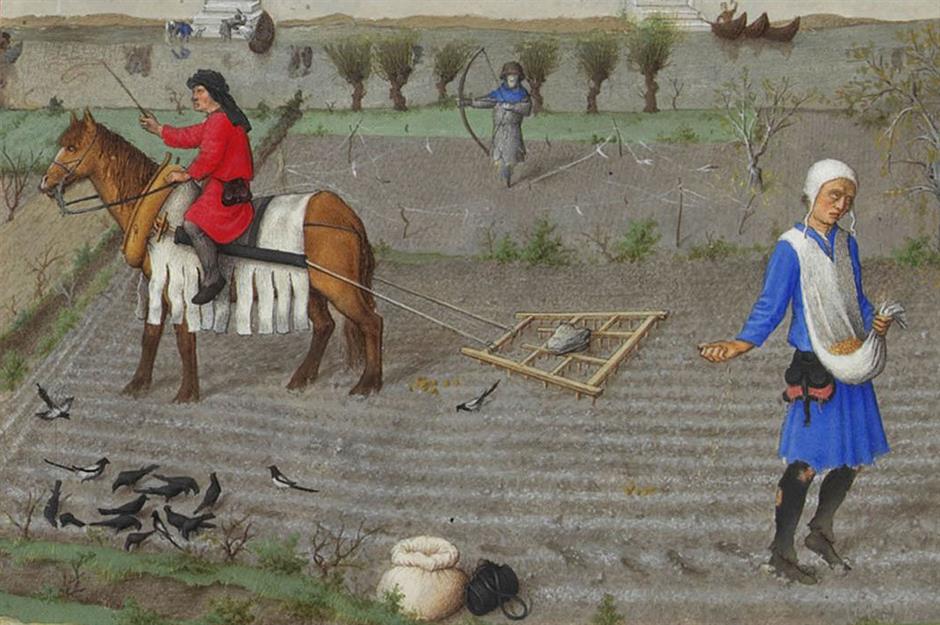 Peasant in medieval England: eight hours a day, 150 days a year