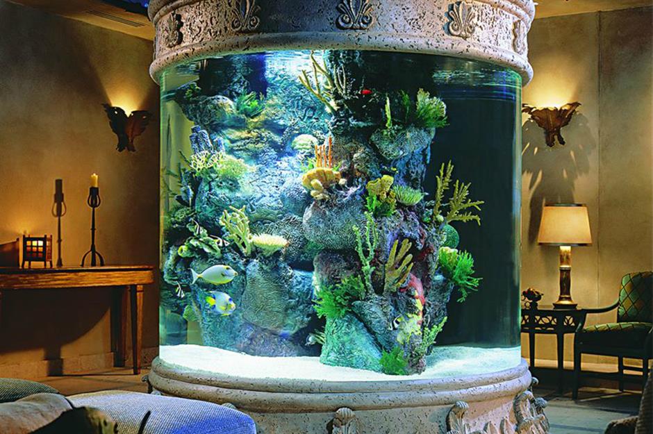 home saltwater fish tank