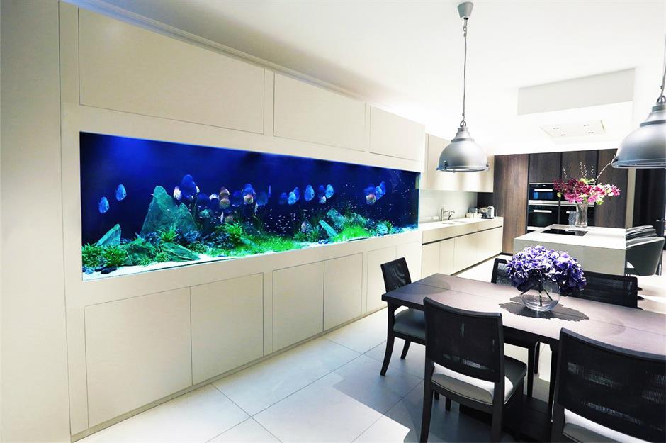 Amazing Aquariums Only Millionaires Can Afford Loveproperty Com