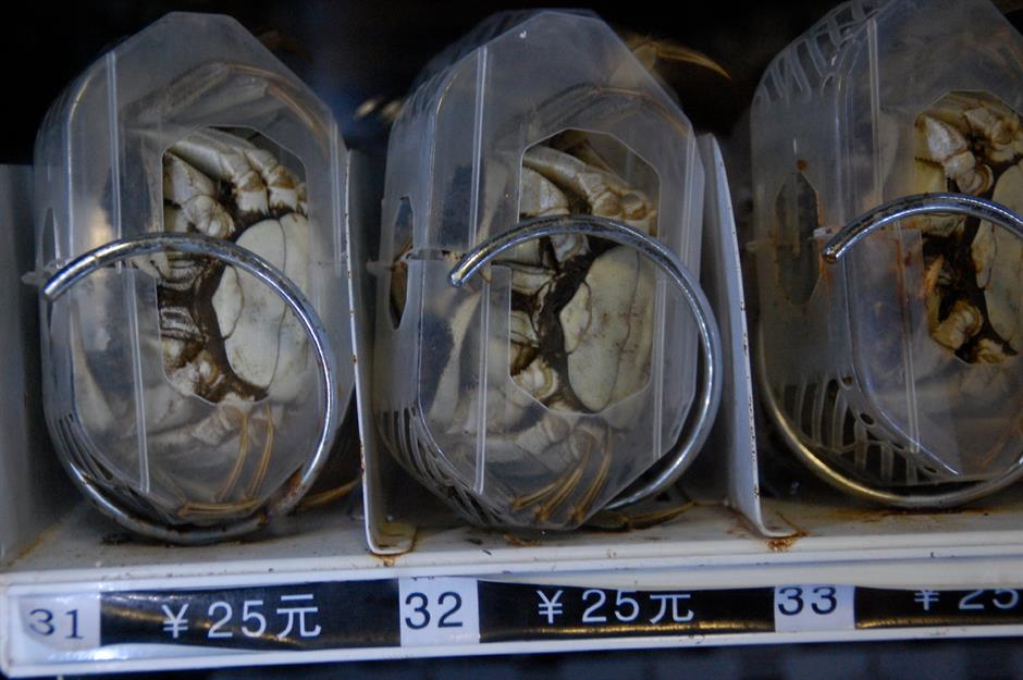 Crabs