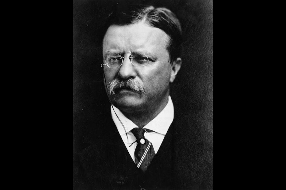Theodore Roosevelt: politician, rancher, military officer, VP
