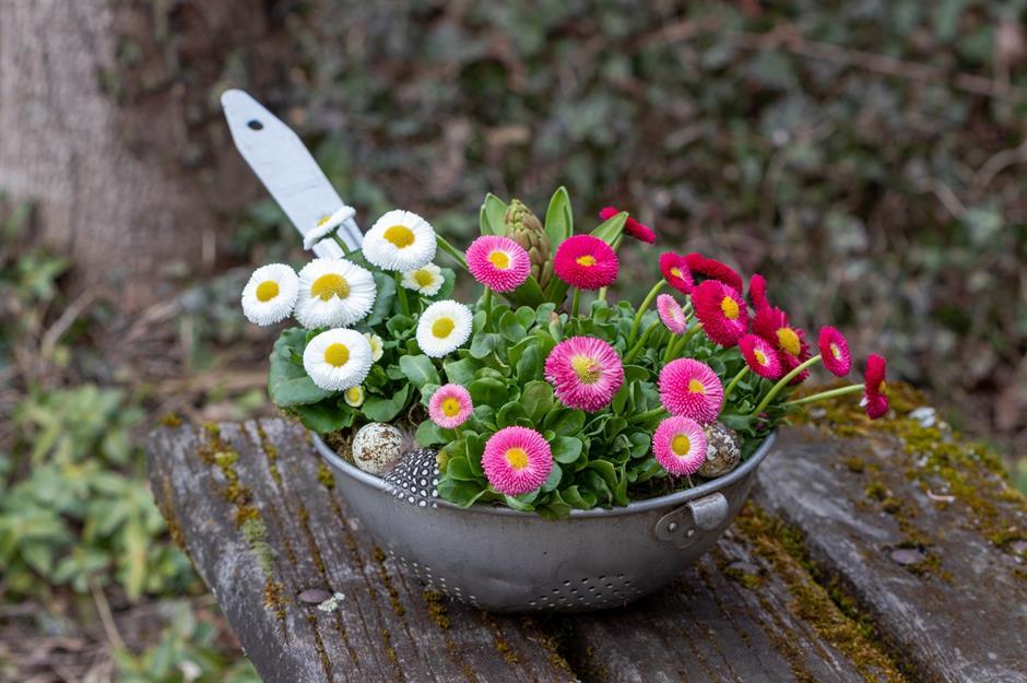 Clever tricks and gardening tips