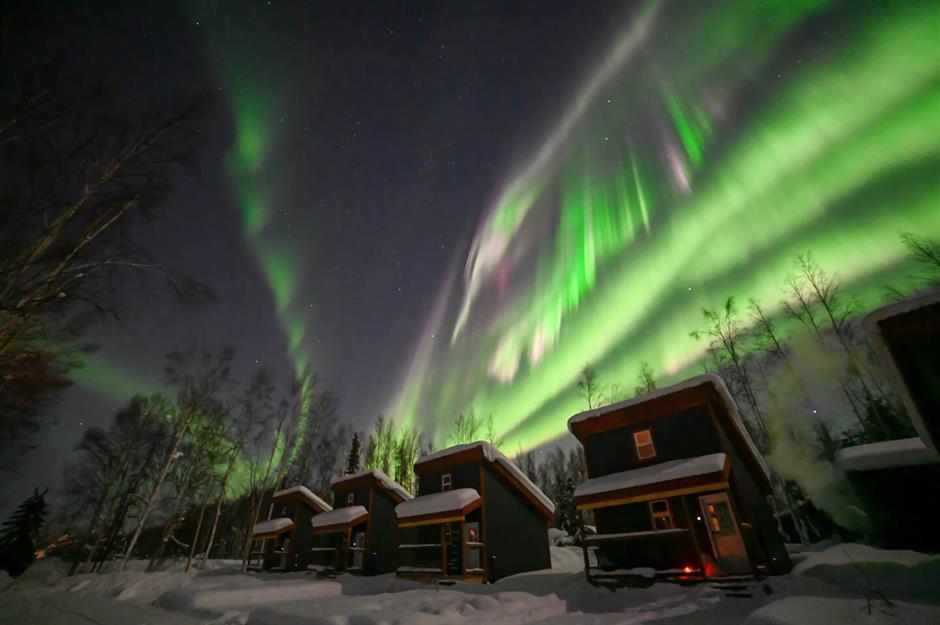 Alaska: The Lazy Lynx Frontier Village