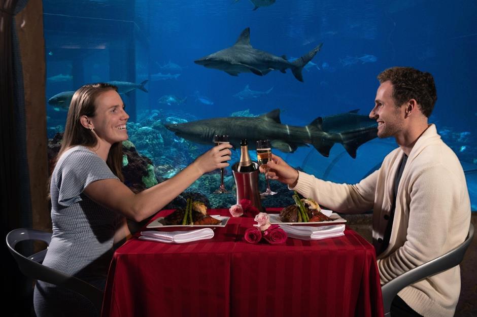 Sharks Underwater Grill and Bar, SeaWorld Orlando, Florida, USA