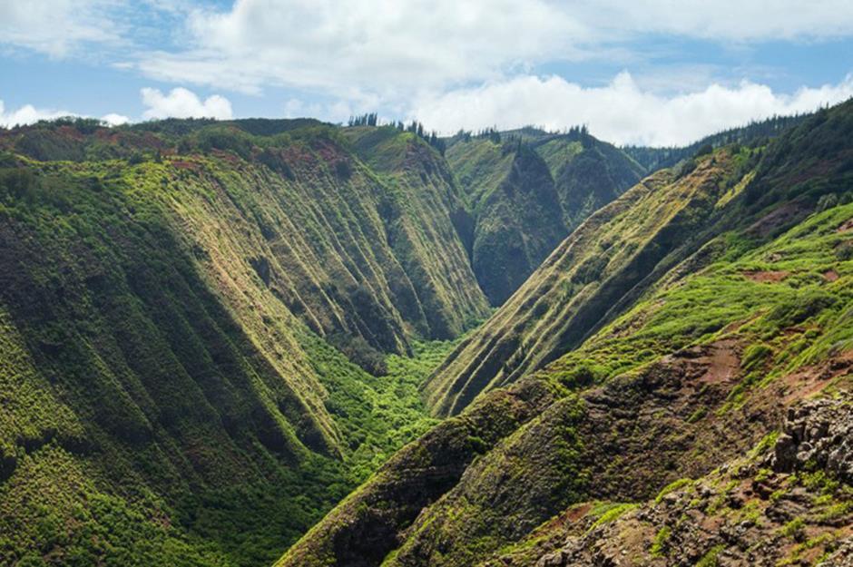 Larry Ellison’s Hawaiian island