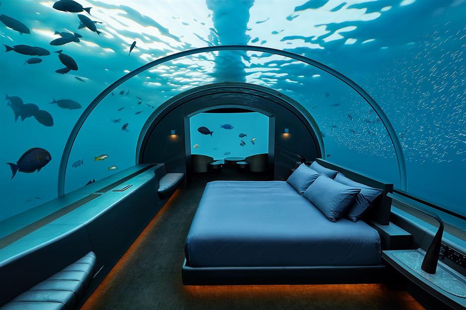 Une vision de la vie sous la mer