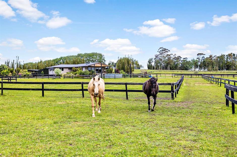 Ranches For Sale That Are Fit For A Cowboy | Loveproperty.com