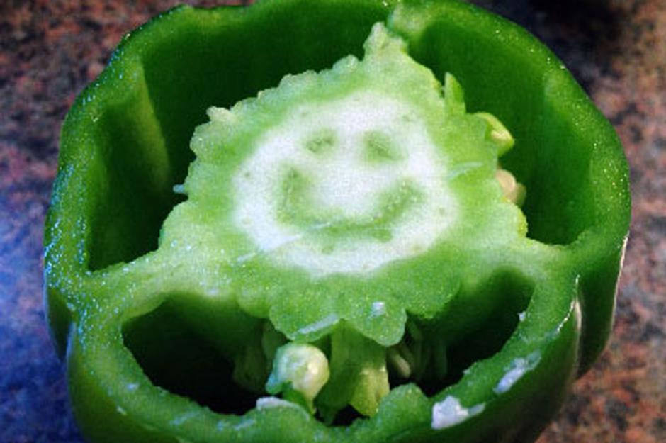 Museum of Food Anomalies, online only