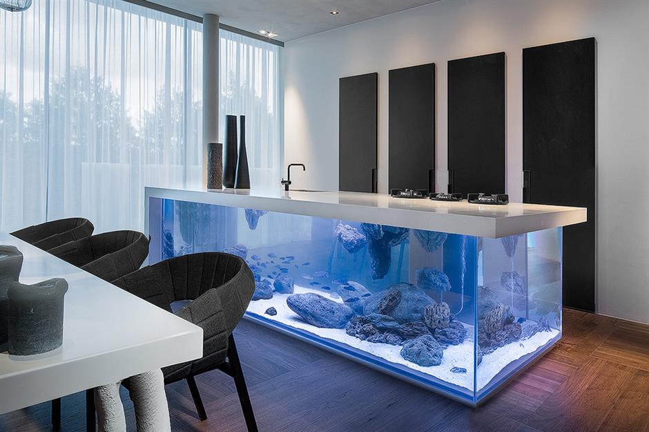 Expensive store fish tanks