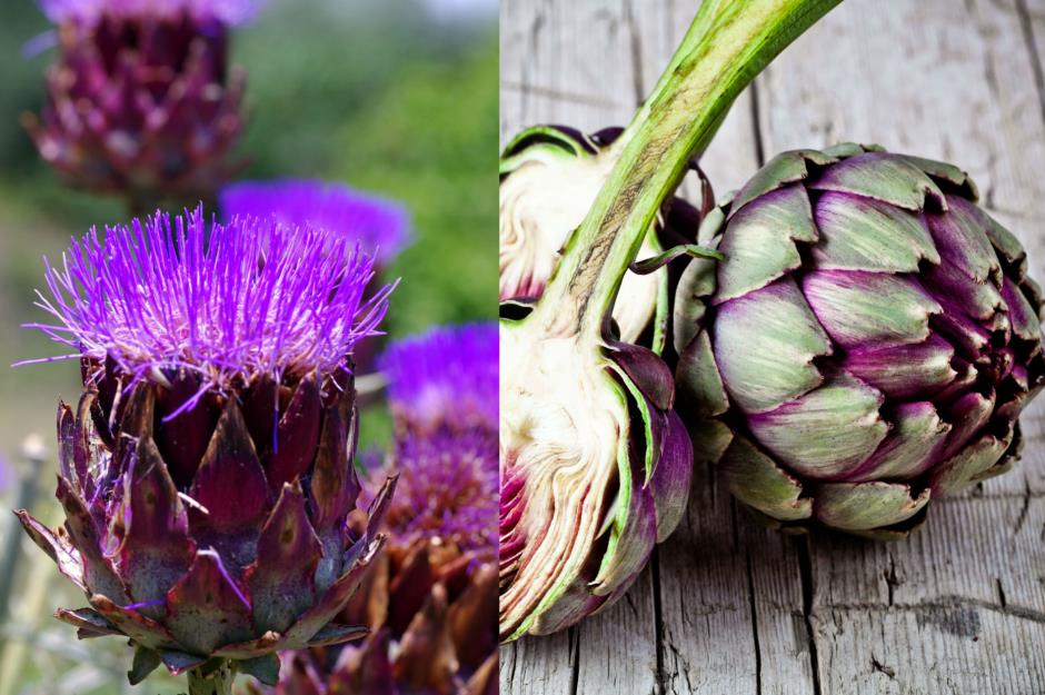 This is what your food actually looks like when it grows | lovefood.com