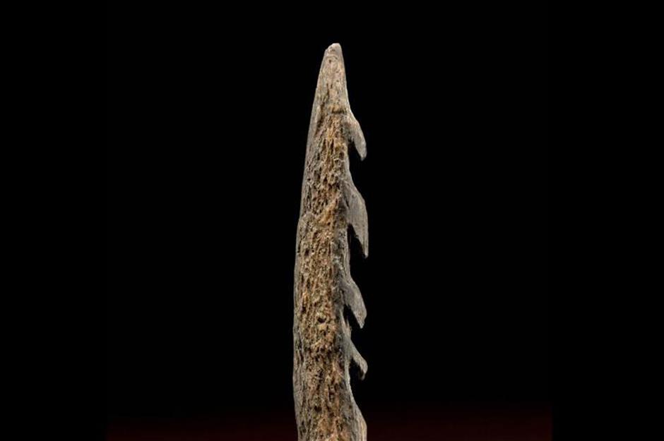Middle Stone Age African people: harpoon, c. 88,000 BC