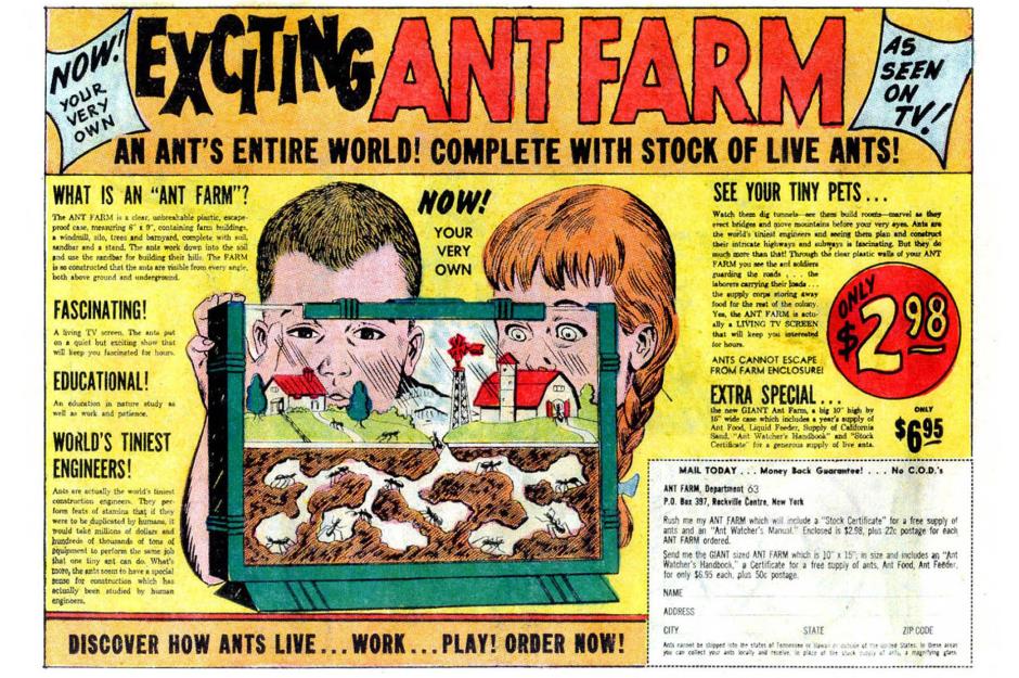 Uncle Milton's Ant Farm
