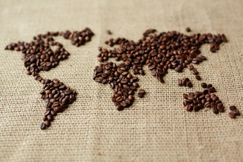 Where does coffee grow?