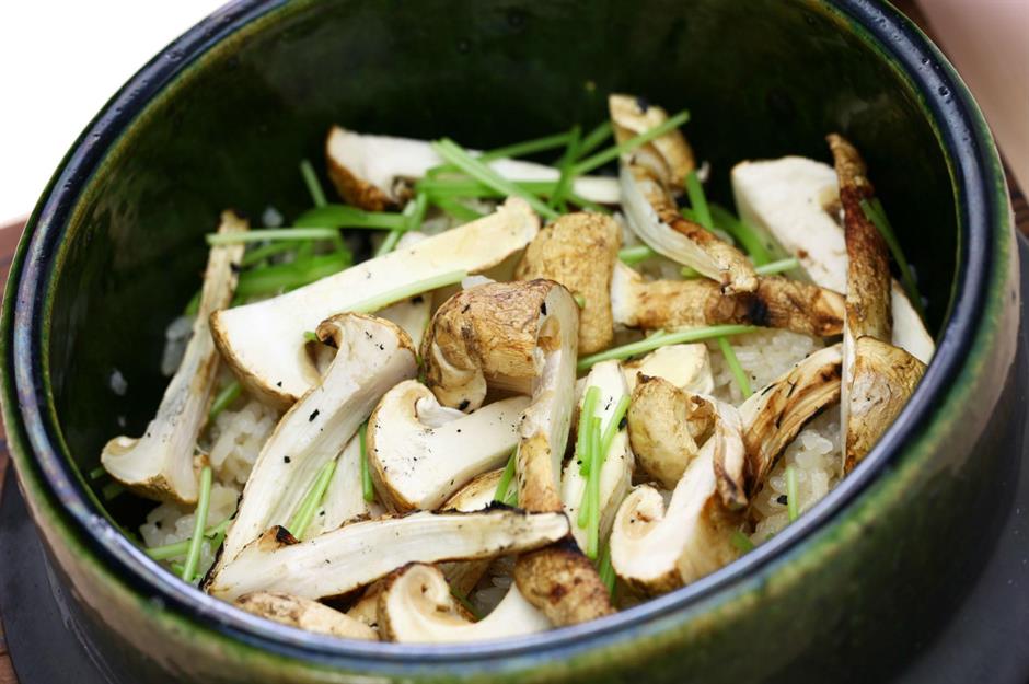 Matsutake-Pilze