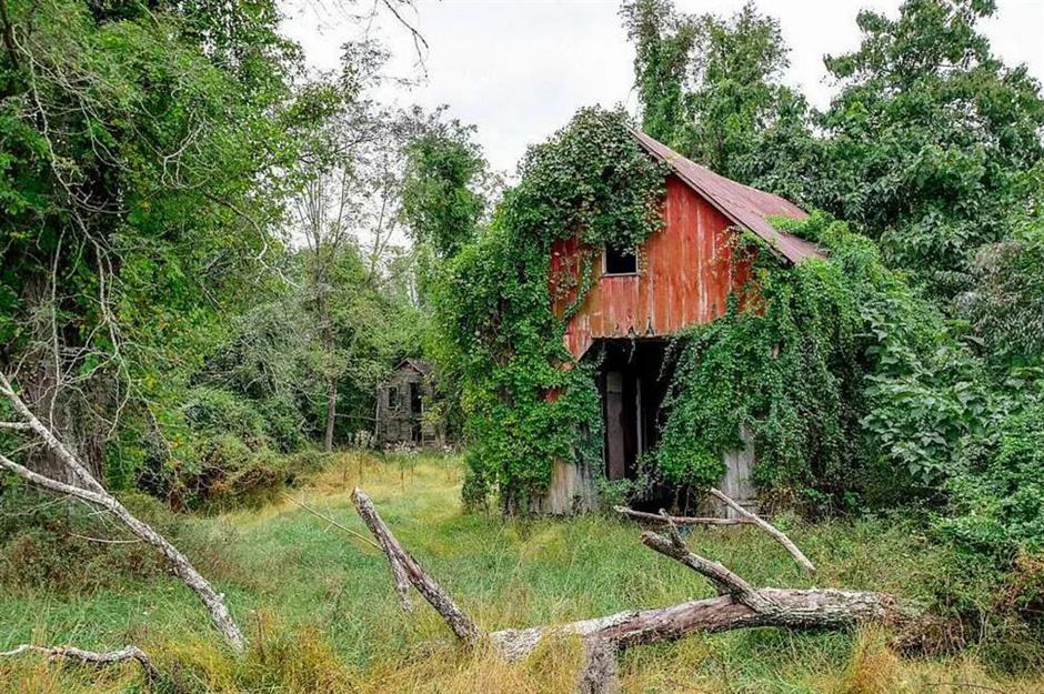 Abandoned farms for sale with plenty of promise