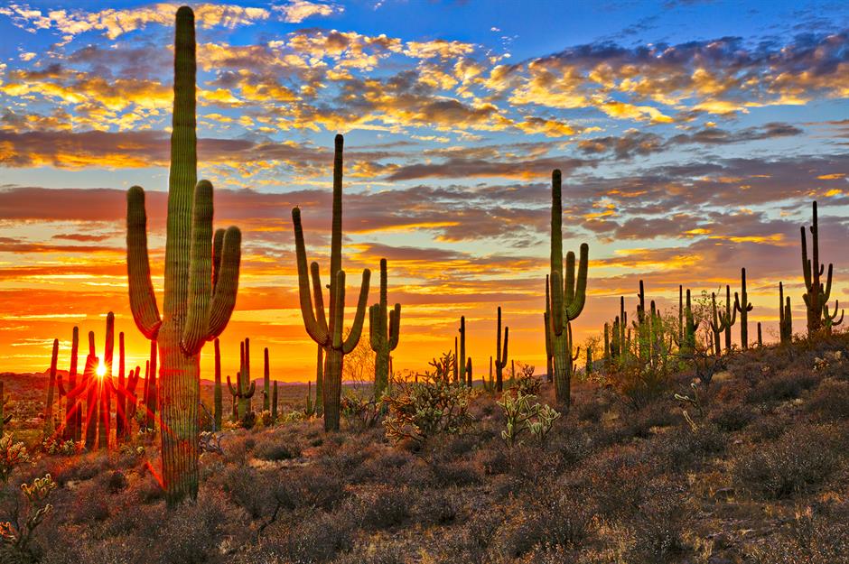 Tucson, Arizona, USA (3,806 hours of sunshine)
