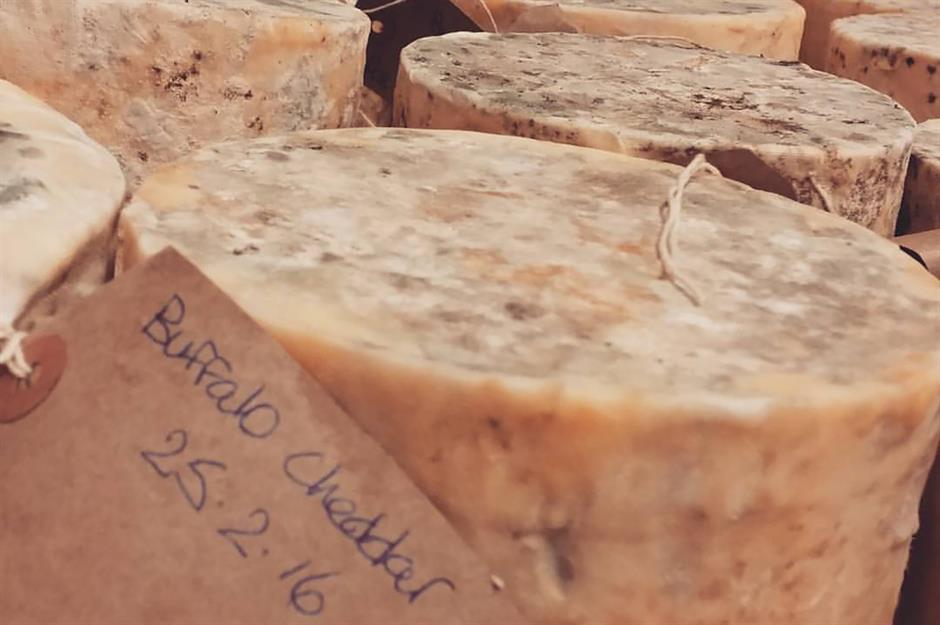 These are the world's best cheeses of 2019