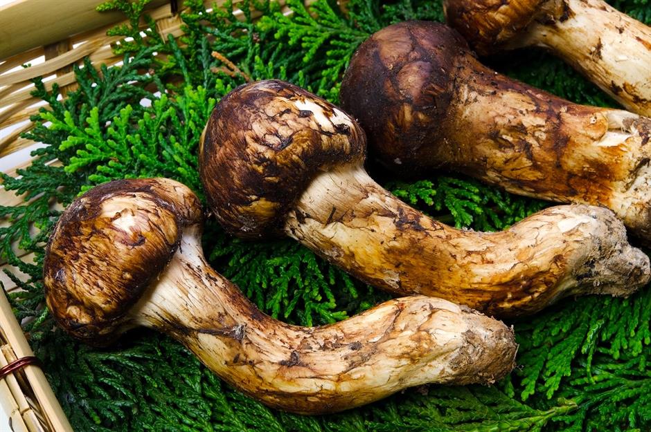 14. Matsutake mushrooms