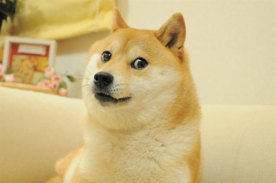 Doge meme NFT: $4 million (£3m)