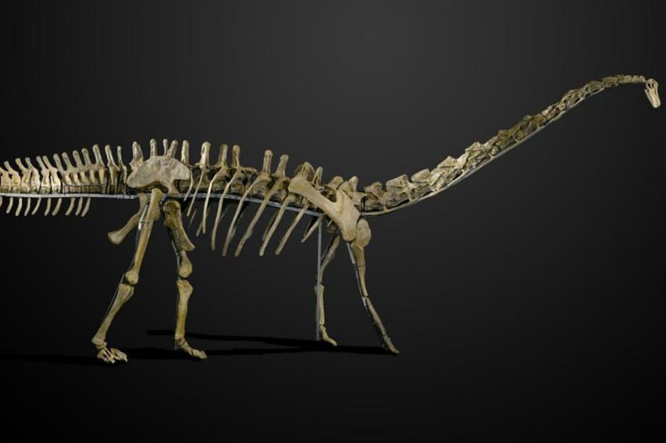 The world's most valuable dinosaurs ever found | lovemoney.com