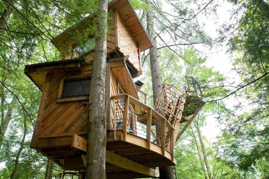 Treetop sleeps