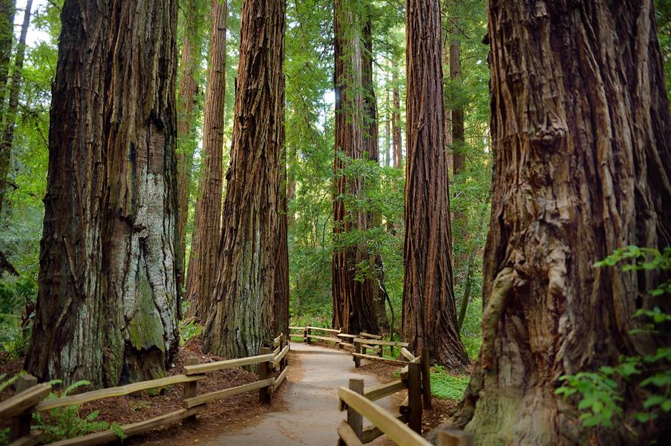 Scenic walks for all levels