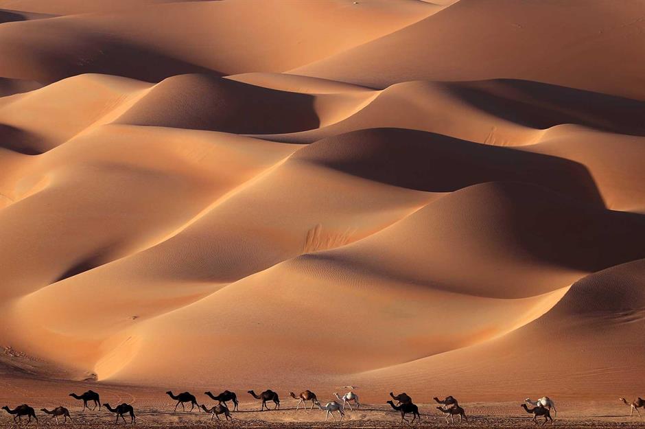 Dune: Liwa Desert, Abu Dhabi, UAE
