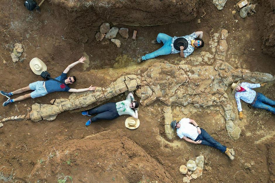 Erstaunliche neue Entdeckungen