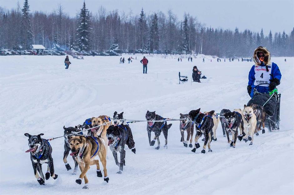 Weird but wonderful ways to get around