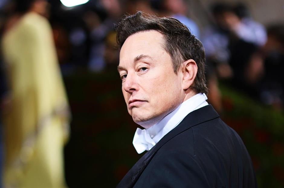 Musk the maverick