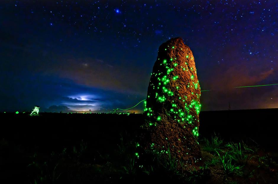 Stunning Photos of Places That Naturally Glow in the Dark