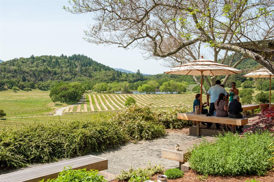 40: Go wine-tasting in Napa Valley, California