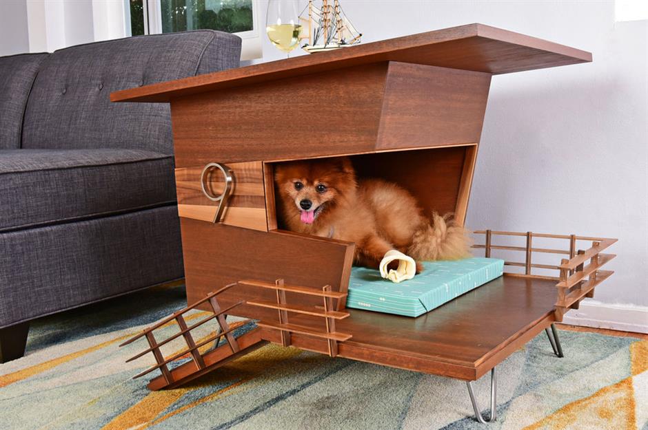 inside luxury dog houses