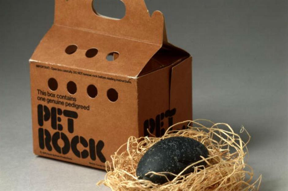 Pet Rock – $15 million (£11.7m)
