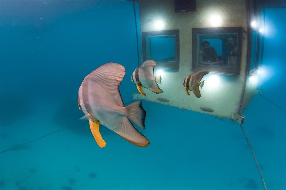 جالب ترین هتل های زیر آب جهان