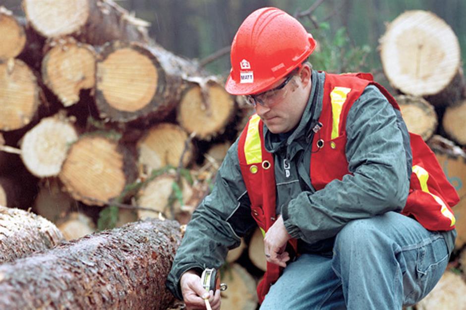 Lumber: West Fraser
