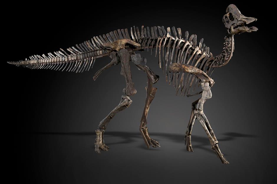 Freya the Harpocrasaurus: $141,200 (£115.2k)
