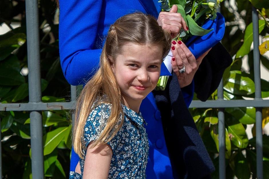 Prinzessin Charlotte: Oliven