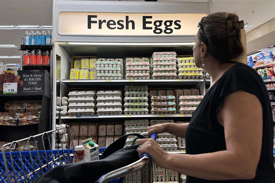 El coste de una docena de huevos