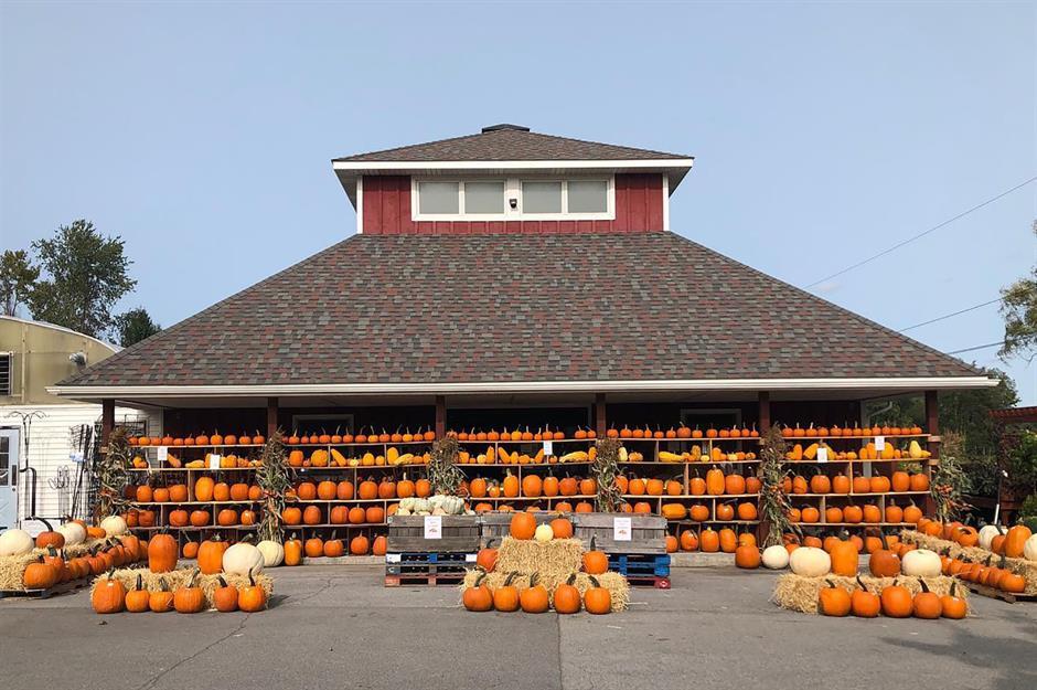 The best farm shop in every state