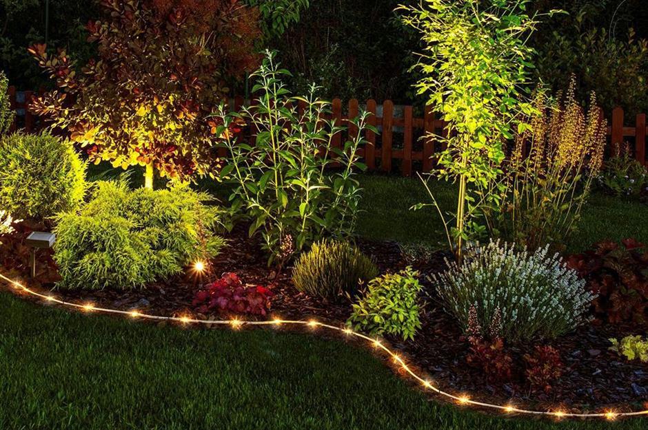 lights in garden ideas