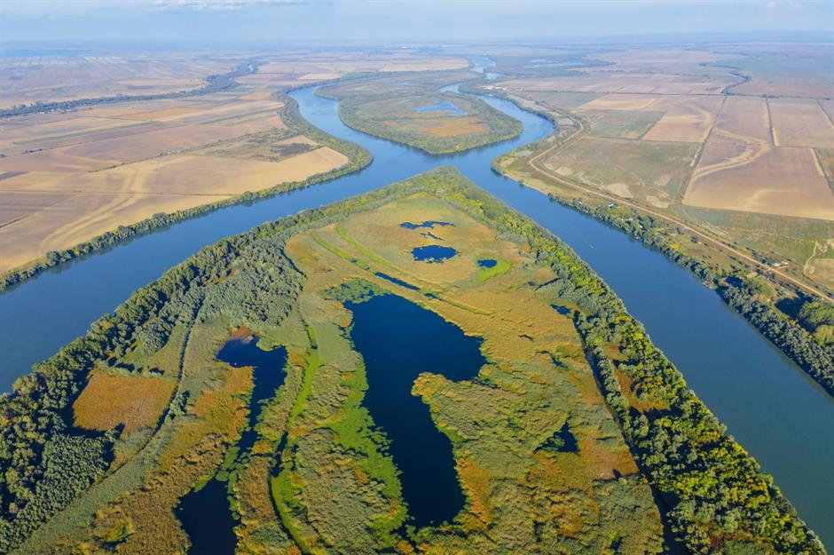 The Danube delta is being rewilded