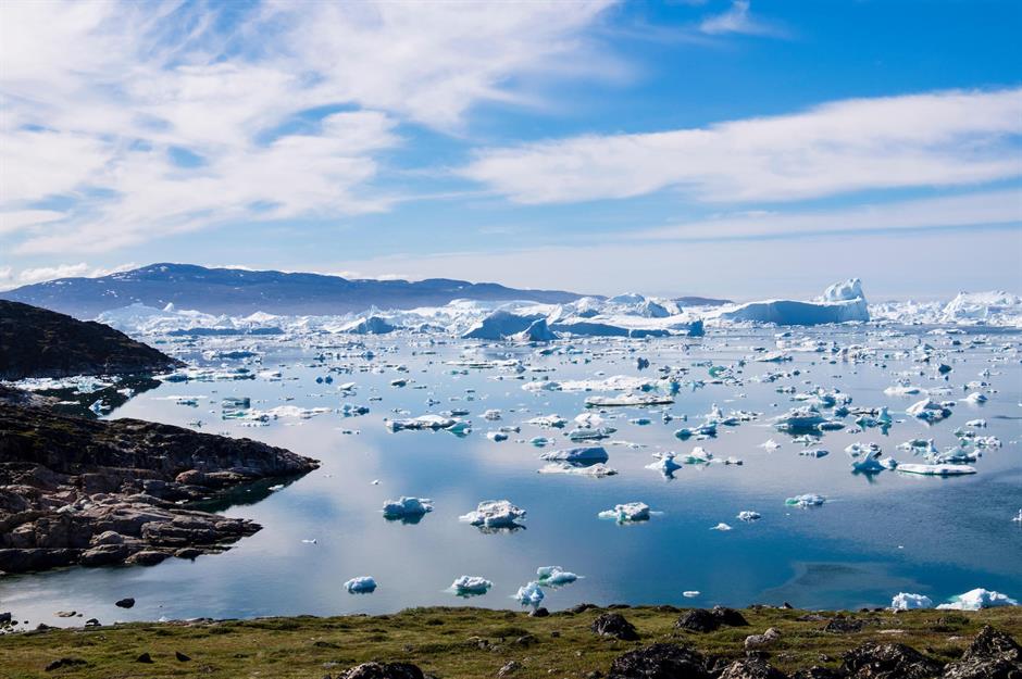 Ice iceberg fox hi-res stock photography and images - Alamy