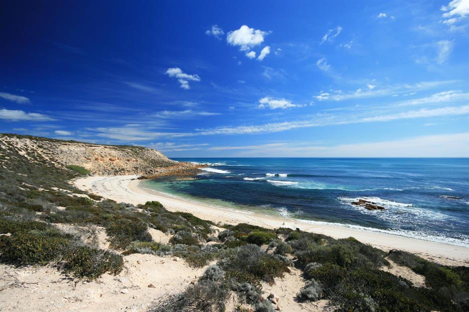 Pure shores