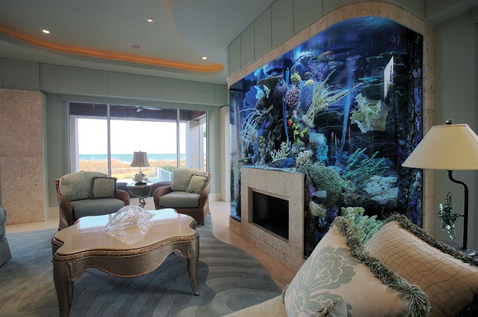 Fish Tank Headboard